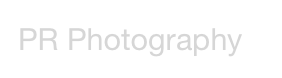 Portraits